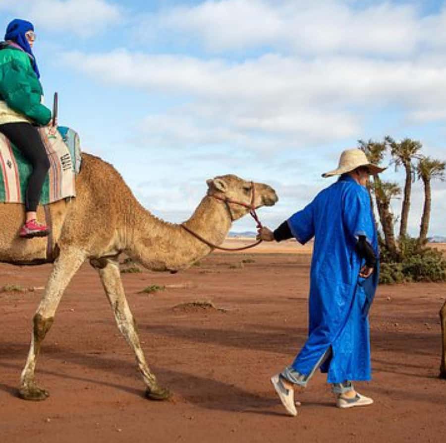 Dinner show in agafay Desert 1h quad bike & 20 min camels - Safety, comfort, and what to pack