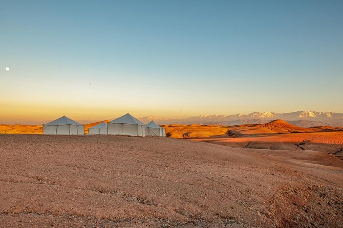 Dinner Show in Agafay Desert with Quad Bike & Camels - What the $23.26 price really buys you