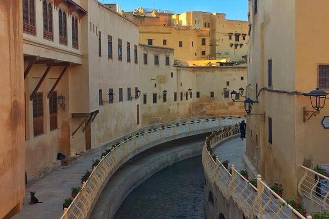 Discover Fes with the Best -Authentic Tours Unforgettable Stories - Chouara Tannery, Fez’s most famous working sight