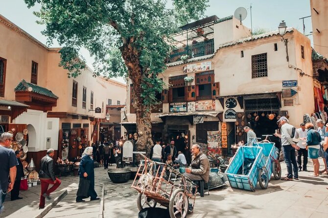 Discover Fez and it’s hidden secrets with a local - Chouara Tannery and the working craft tradition