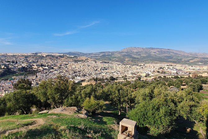 Discover Fez with a local - Wood Market and Wood Museum