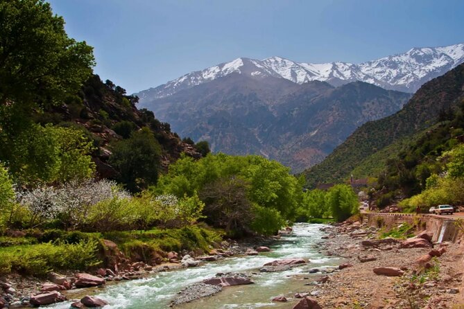 Discovering Ourika Valley and Atlas Mountains with a Local Guide - The Ourika Valley views and photo stops