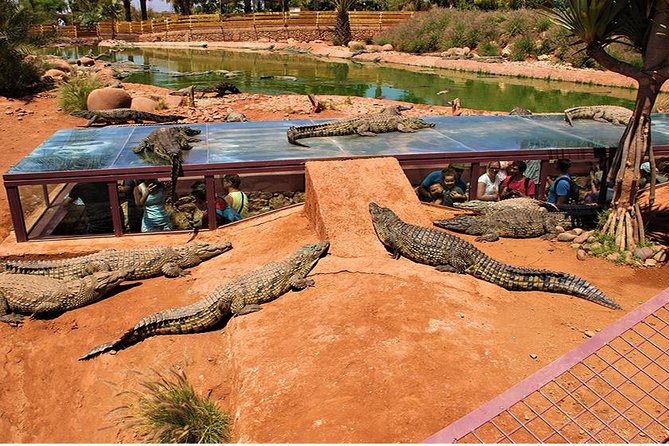 Effortless Agadir Crocoparc Ticket and Transfer Service - The other animals and garden paths