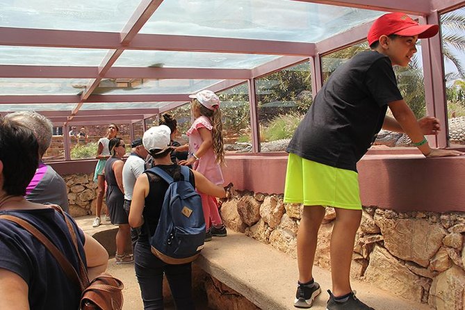 Effortless Agadir Crocoparc Ticket and Transfer Service - What the guide adds to the visit