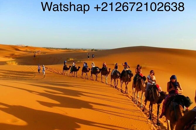 Enjoy camp 1 night .Camel.sunset sunrise drums Quad Sunboard - A private tent in the desert