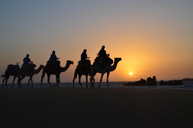 Essaouira: 1/2 Day Camel ride with meal. - From Bab Marrakech to Essaouira’s open coast