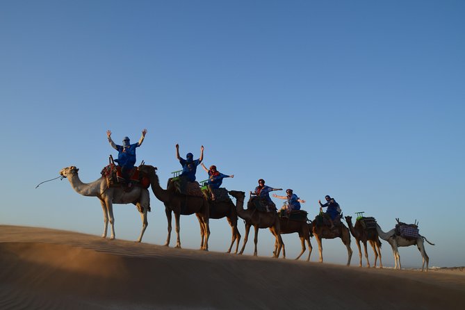 Essaouira: 1/2 Day Camel ride with meal. - Through forest, wild beaches, and Cap Sim dunes