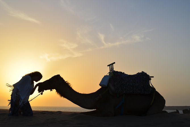 Essaouira: 1/2 Day Camel ride with meal. - Is $69.69 a fair price?