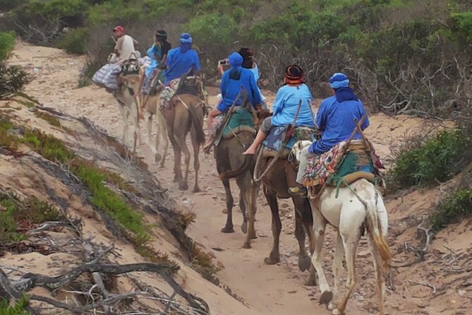 Essaouira 1 hour discovery ride on the back of a camel - Setting out from Bab Sbaa