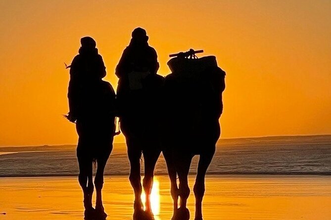 Essaouira 1 hour discovery ride on the back of a camel - Reaching Diabat Village
