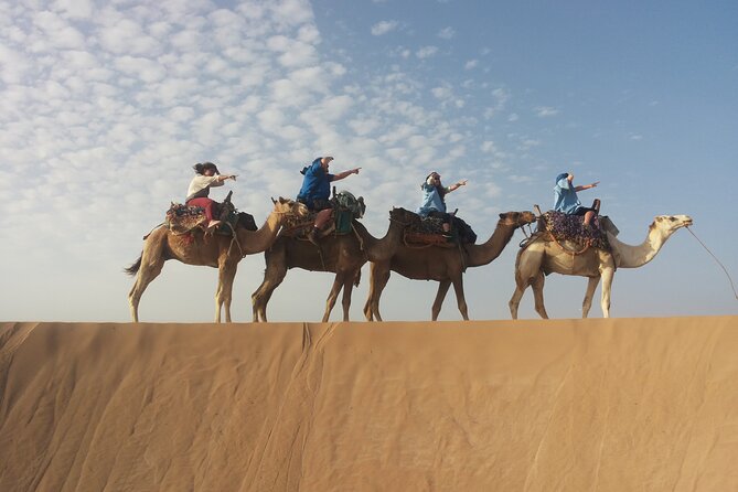 Essaouira 1 hour discovery ride on the back of a camel - What makes Mustafa’s guiding style useful