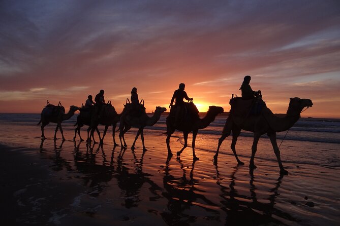 Essaouira 1 hour discovery ride on the back of a camel - Is $23.23 good value for one hour?