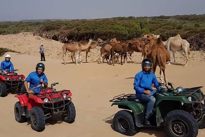 Essaouira: 1 Hour Dromedary + 2 Hours Quad - Two hours by quad through Essaouira’s open country