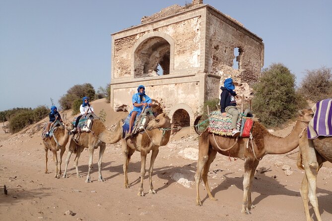 Essaouira: 1 Hour Dromedary + 2 Hours Quad - What the three-hour schedule feels like