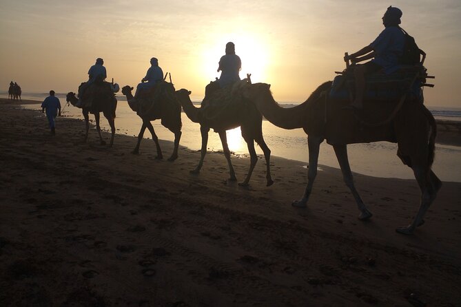 Essaouira: 1 Hour Dromedary + 2 Hours Quad - From motor power to a one-hour dromedary ride