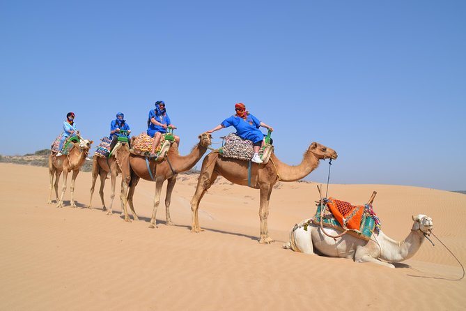 Essaouira 2-Hour Camel Adventure Ride - What this Essaouira camel ride is really like