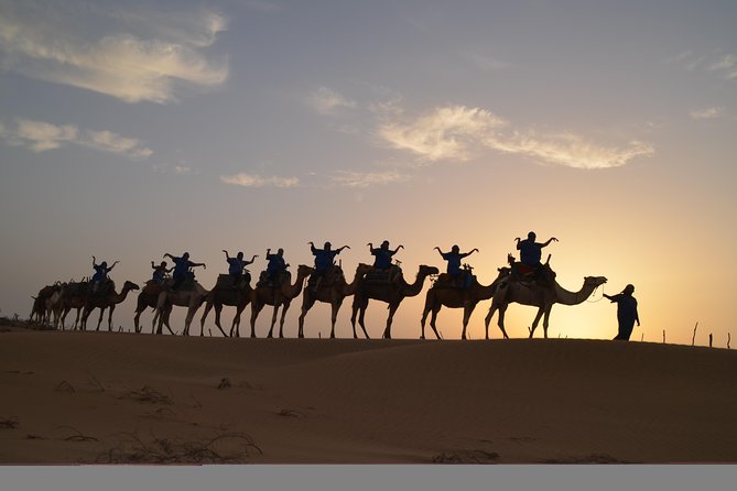 Essaouira 2-Hour Camel Adventure Ride - The Portuguese borj and Dar Soltane ruins