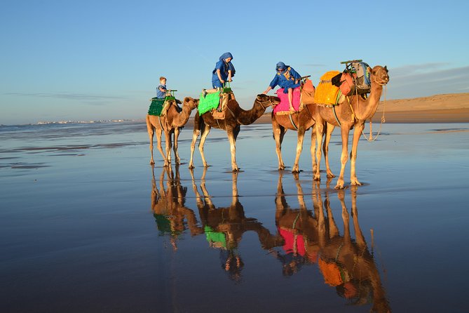 Essaouira 2-Hour Camel Adventure Ride - Traditional clothing and the photo factor