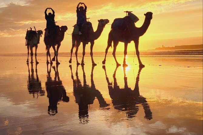 Essaouira 2-Hour Camel Adventure Ride - Is $40.71 a fair price?