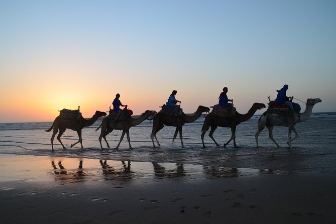 Essaouira 2-Hour Camel Adventure Ride - Meeting Mustafa at Bab Marrakech