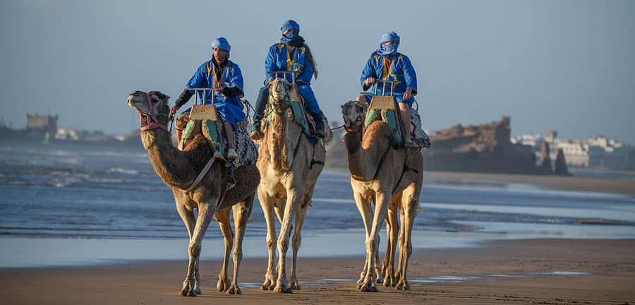 Essaouira: 2-Hour Camel Ride - Key points to know before you book