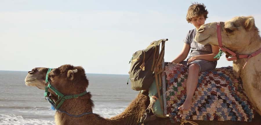 Essaouira: 2-Hour Camel Ride - Who will enjoy this Essaouira camel ride?