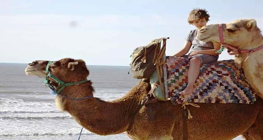 Essaouira: 2-Hour Camel Ride - From Essaouira’s hotel streets to the camel stables