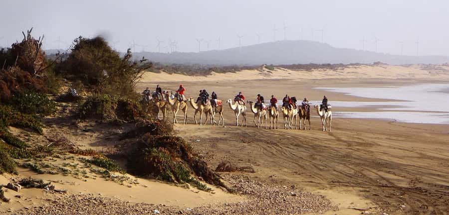 Essaouira: 2-Hour Camel Ride - What the guide adds to the experience