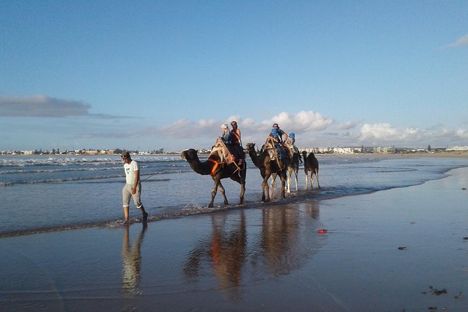 Essaouira: 2H camel/pick up and drop off including - Leaving Essaouira for the camel tracks