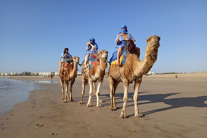 Essaouira: 2H camel/pick up and drop off including - Two hours through beach and semi-desert