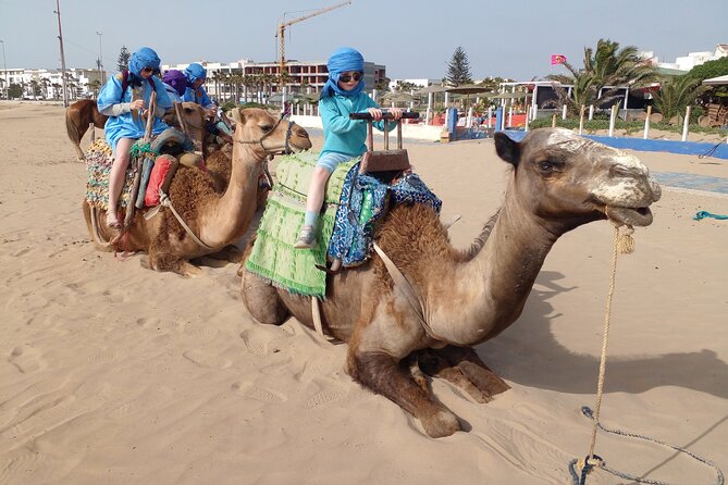 Essaouira: 2H camel/pick up and drop off including - The Jimmy Hendrix Café stop