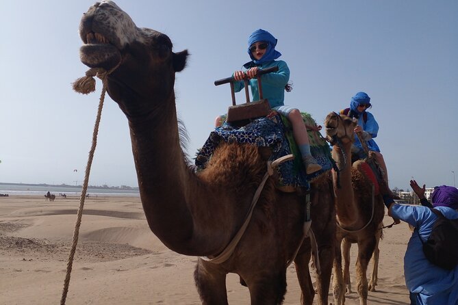 Essaouira: 2H camel/pick up and drop off including - What the $45.36 price really buys