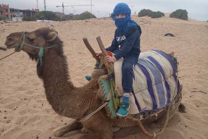 Essaouira: 2H camel/pick up and drop off including - Who will enjoy this Essaouira camel ride