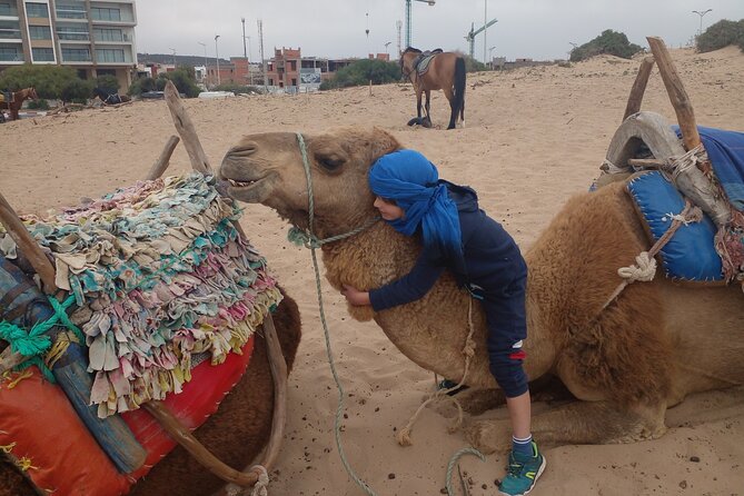 Essaouira: 2H camel/pick up and drop off including - Camels, comfort, and first-time riders