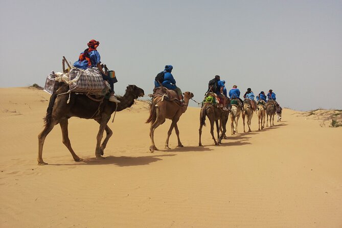 Essaouira: 3-Hour Camel Tour - Key points to know before booking
