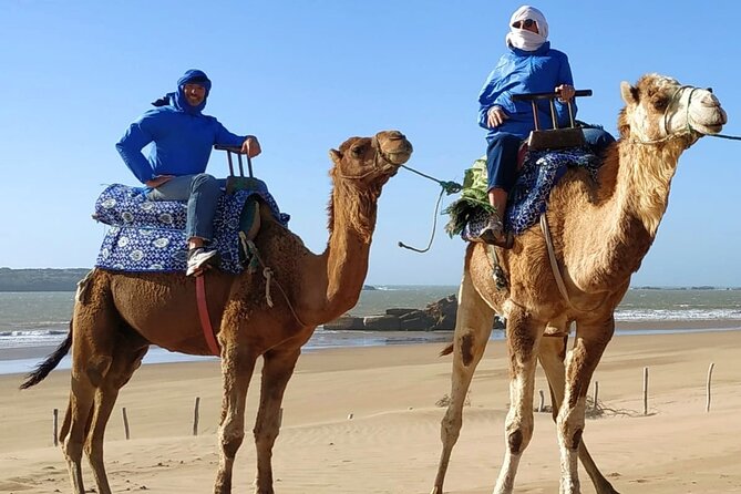 Essaouira: 3-Hour Camel Tour - Dunes, beach, and the changing Atlantic