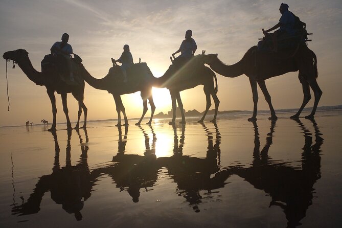 Essaouira: 3-Hour Camel Tour - Who will enjoy this outing most