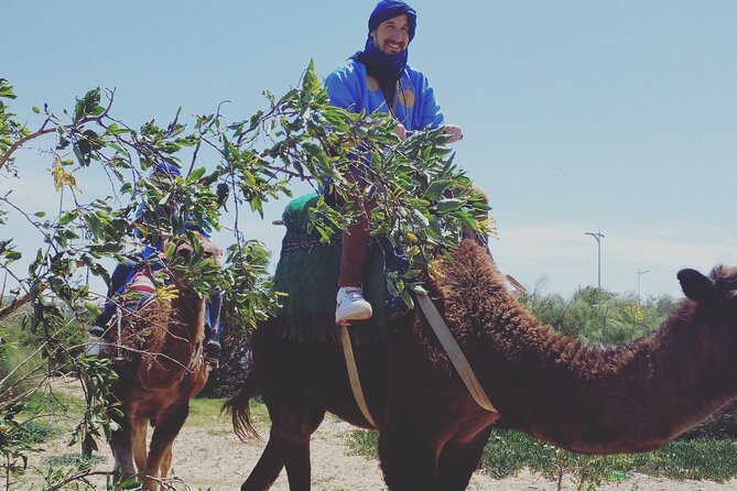 Essaouira: 3-Hour Camel Tour - Starting with a private group and local guide