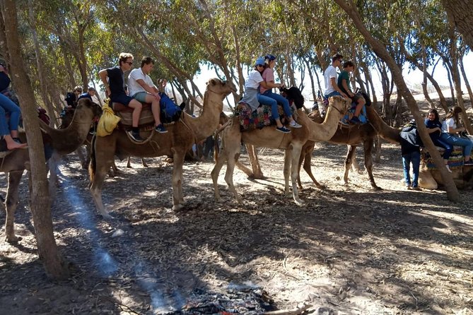 Essaouira Activities: Discover Essaouira by Quad - What the Private Format Really Gives You