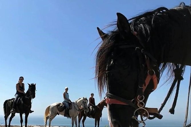 Essaouira Activities: Discover Essaouira by Quad - Is $46.34 Good Value?