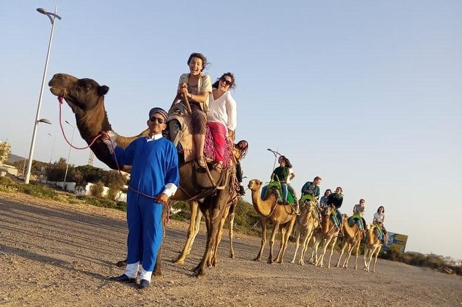 Essaouira Activities: Discover Essaouira by Quad - A Practical Three-Hour Plan