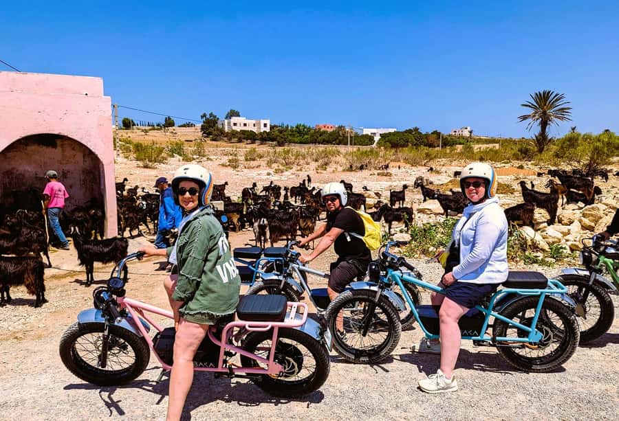 Essaouira: Area Highlights Guided E-Bike Tour - The river route back to Essaouira