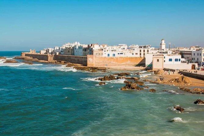 Essaouira day trip from Agadir & Taghazout - Lunch, free time, and the cost of the day