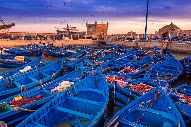 Essaouira Day Trip from Marrakech - The 8 a.m. pickup and the long Atlantic road