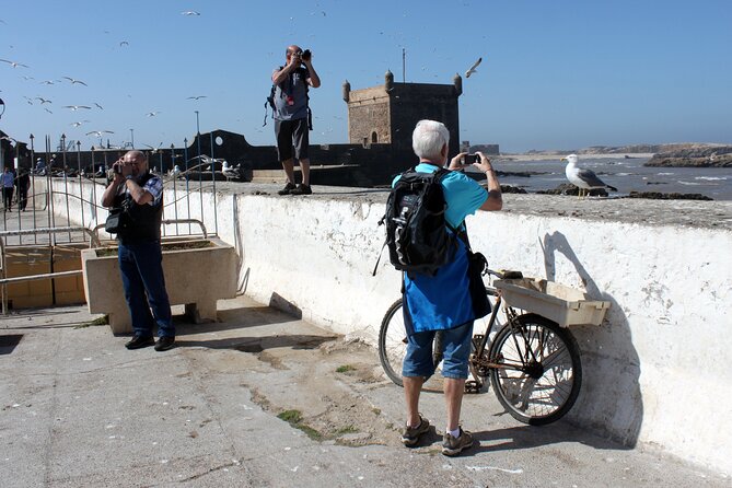 Essaouira Day Trip from Marrakech - Return to Marrakech and the real cost of the day