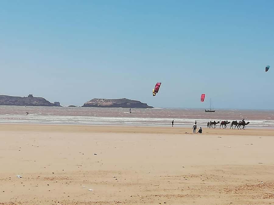 Essaouira Day Trip from Marrakech _ medina, old port - A beach break on the Atlantic