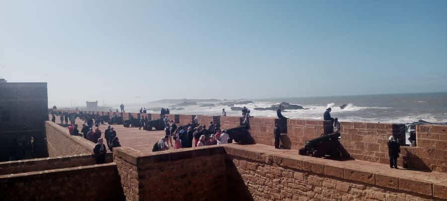 Essaouira Day Trip from Marrakech _ medina, old port - The argan oil cooperative on the return