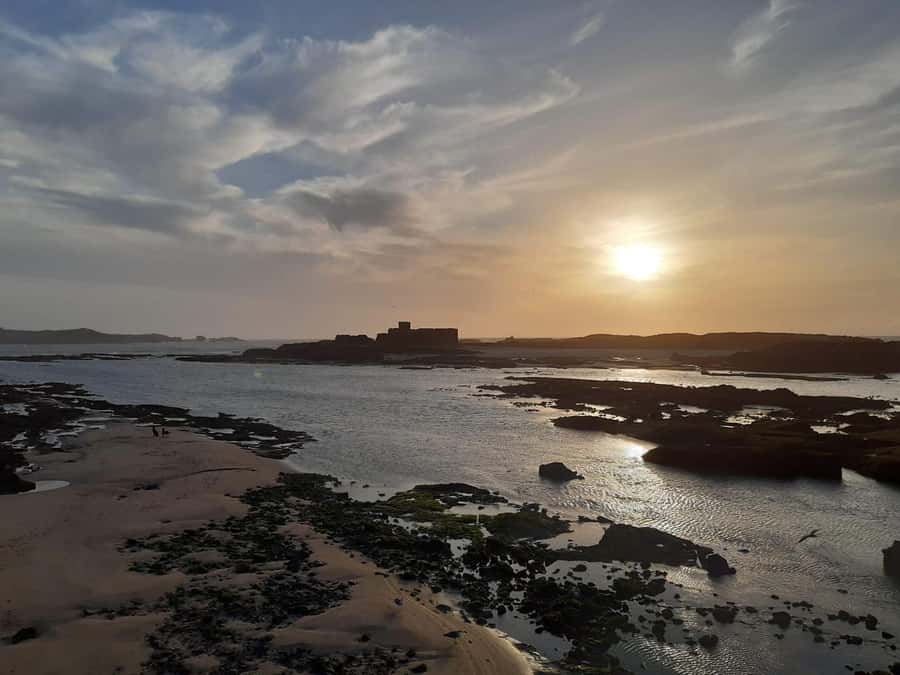 Essaouira Day Trip from Marrakech _ medina, old port - Guides, drivers, and how the day feels