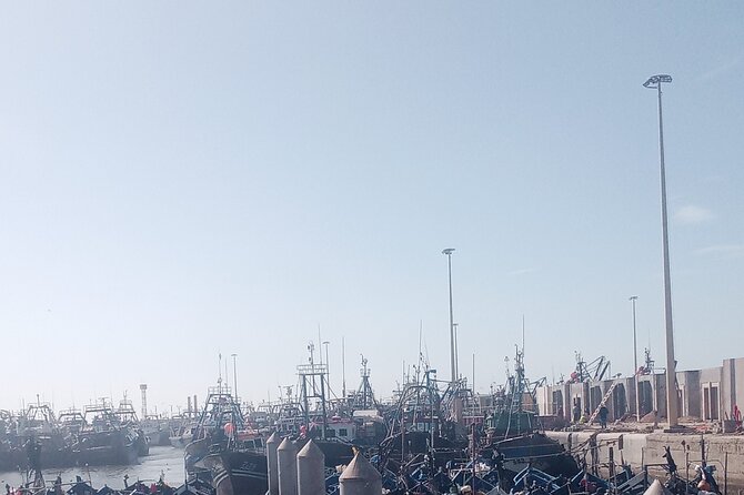 Essaouira day trip shared group - The minibus ride and first roadside stop