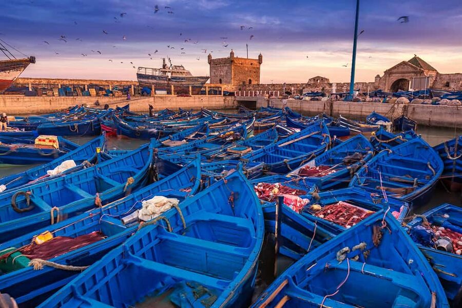 Essaouira Full Day Trip From Marrakech - What the $26 price really covers